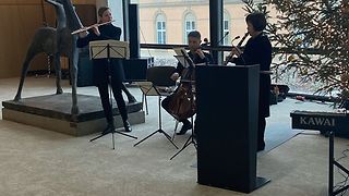 Musiker spielen