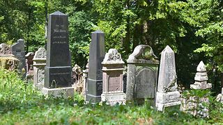 Grabsteine auf dem jüdischen Friedhof Rexingen