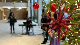 Weihnachtsstern am Christbaum 