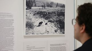 Eine Frau betrachtet die Ausstellung