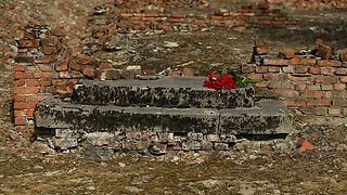 Abgelegte Rosen auf den Überresten der Mauer des Vernichtungslagers Auschwitz-Birkenau