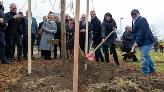 Muhterem Aras, Thomas Gedemer und Alexander Flügler pflanzen eine Trauerweide