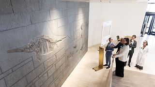 Die Besuchergruppe um Ilse Aigner bewundert die Versteinerungen im Foyer