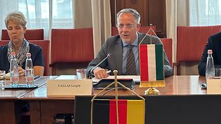 Gregor Gallai, Parlamentssprecher der Ungarndeutschen