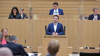 Dennis Birnstock FDP/DVP