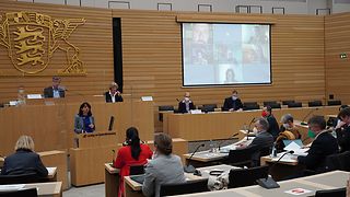 Anhörung im Europaausschuss